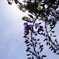 photo_23179