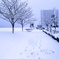 雪の日　家路へ