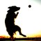 I CAN FLY