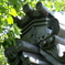 CIMG0726