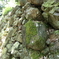 CIMG0728