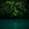 Green & Green