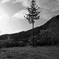 R0014955A