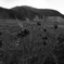 R0016167_edited-1