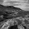 R0016200_edited-1
