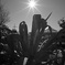 DSCF1644A