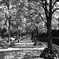 R0015342A