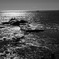 DSCF1570A
