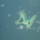 2008.04.28　バタフライアイランド