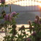 2011.0717 北上川夕暮④