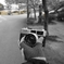 minolta HI-MATIC E