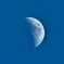 SDIM1099