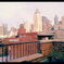 Ｎ．Ｙ．*
