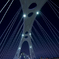 橋