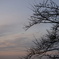 夕暮れ三坂795