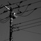 photo_2326896