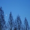 夜、近づいて