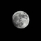 SDIM1518