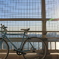 レインボーブリッジで自転車と