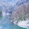 由良川雪景色