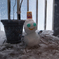 snow man