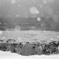 雪原