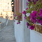 Venice Streets