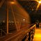 _IGP5916