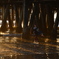 Santa Monica Couple