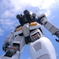 凛々しい後ろ姿。白昼のガンダム。