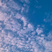 今日の空。