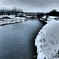 冬の犀川沿い 雪見橋から