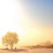 The moment when fog clears