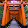 千本鳥居の先に・・・