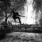 Real Ollie.