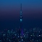 東京スカイツリー