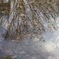 雨上がり