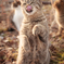 Look at my Dance