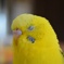 大ちゃん瞑想中