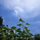 夏空