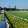 Turf