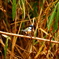 DSC03364