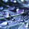 雨の跡
