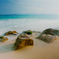_MG_0332s
