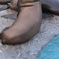 Sea Lion