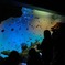 Marine Blue