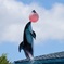 2012夏～のとじま水族館～ 061