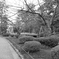金沢兼六園にて
