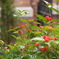 photo_2350133
