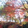 the　KOUYOU